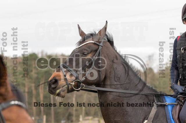 Geländetraining RSV St. Hubertus Wesel Obrighoven
