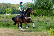Westerstede Horse Trials (10.-13.06.2021)