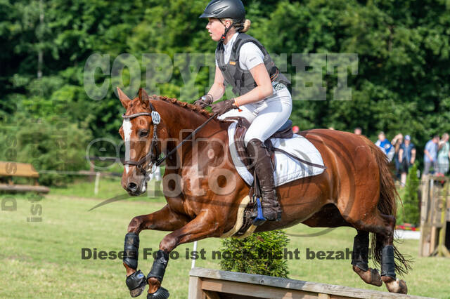 Goldene Schärpe 2021 - Ponys