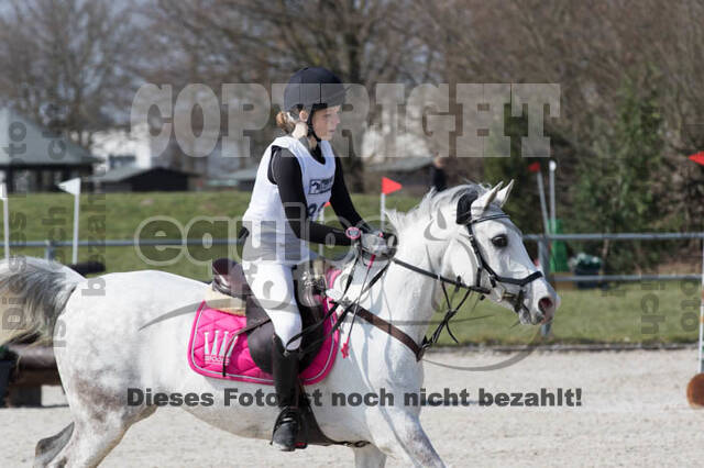 Eventing Langenfeld 2018