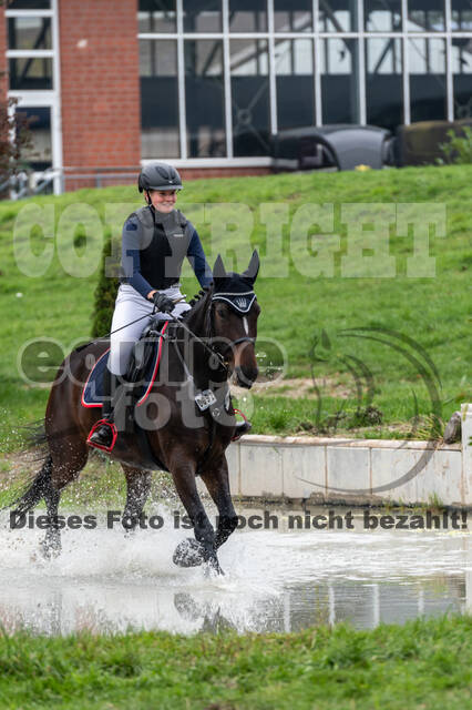 Goldene Schärpe 2020 - Pferde