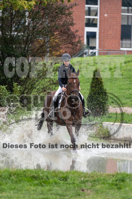 Goldene Schärpe 2020 - Pferde