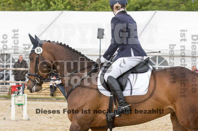 Sterne über Münster 2019 - CCI***S