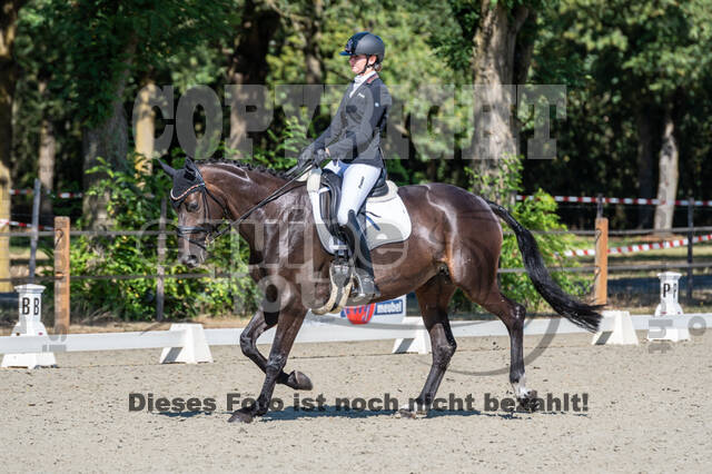 Kronenberg - De Peelbergen (August 2020)