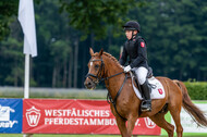 Goldene Schärpe 2021 - Ponys