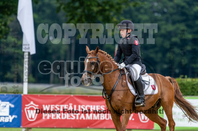 Goldene Schärpe 2021 - Ponys