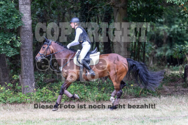 Late-Entry Vielseitigkeit Hamminkeln/Wesel (01.+02.08.2020)