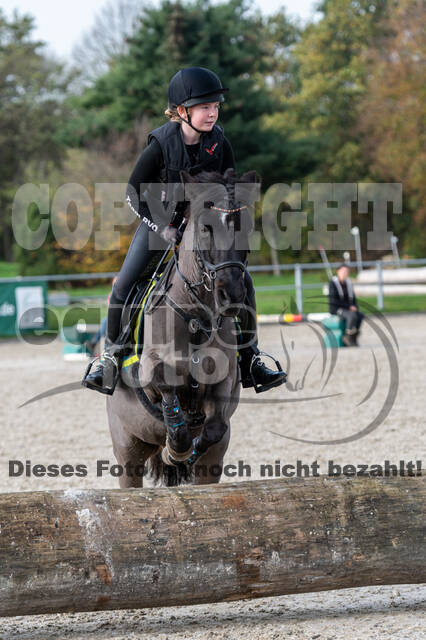IGV Lehrgang der Sieger der Cups mit Frank Ostholt
