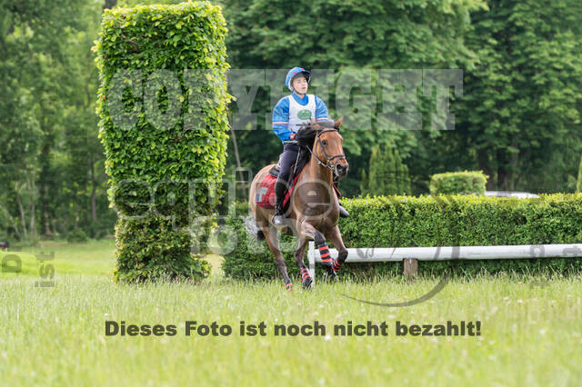 Westerstede Horse Trials 2021