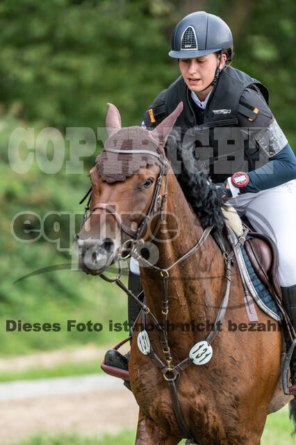 Late-Entry-Vielseitigkeit Langenfeld (06.+07.07.2020)