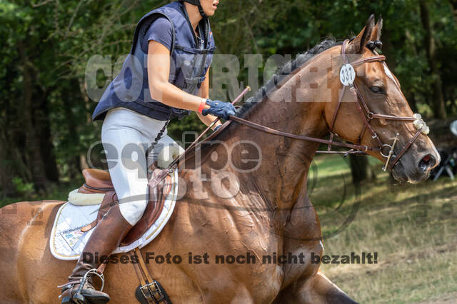Late-Entry Vielseitigkeit Hamminkeln/Wesel (01.+02.08.2020)
