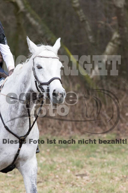 Geländetraining RSV St. Hubertus Wesel Obrighoven (10.+11.03.2018)
