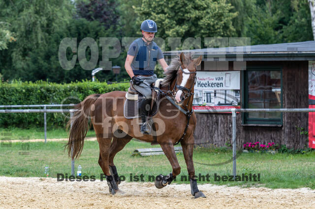 Hunter Geländetraining 10.07.2021 (Sonsbeck)