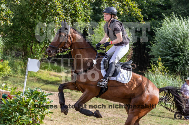 Late-Entry Vielseitigkeit Hamminkeln/Wesel (01.+02.08.2020)