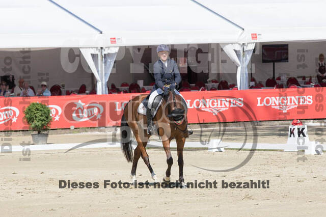 FEI European Championship Eventing 2017