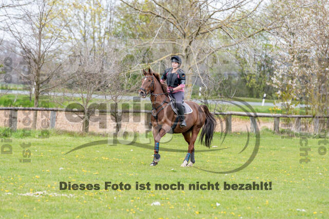 Geländetraining ZRFV Hamminkeln (24+25.04.2021)