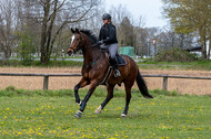 Geländetraining ZRFV Hamminkeln (24+25.04.2021)