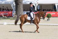 FEI European Championship Eventing 2017