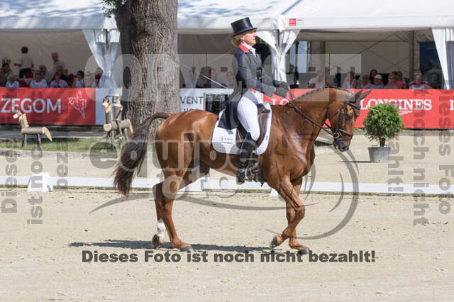 FEI European Championship Eventing 2017