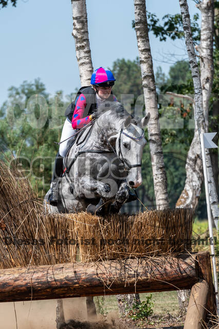 De Peelbergen (August 2020)