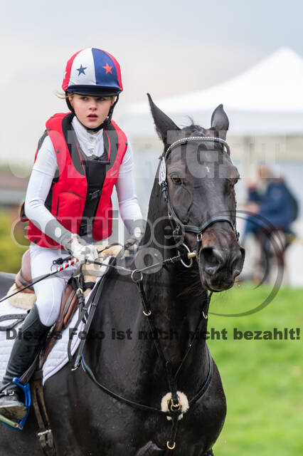 Goldene Schärpe 2020 - Pferde