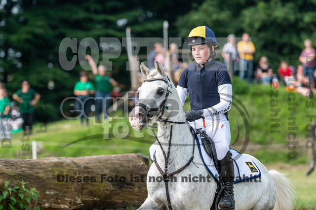 Goldene Schärpe 2021 - Ponys