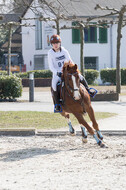 Eventing Langenfeld 2018