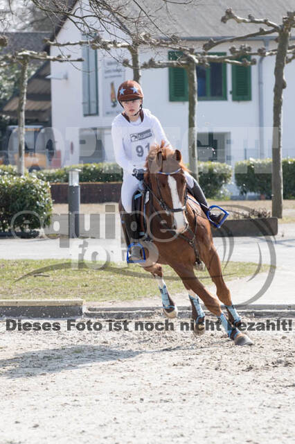 Eventing Langenfeld 2018