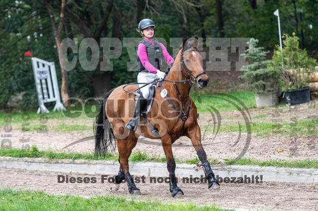 Goldene Schärpe 2020 - Pferde