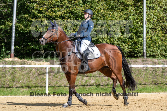 RFV Dinslaken-Hiesfeld (Herbstturnier)