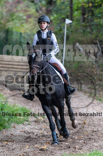 Goldene Schärpe 2020 - Pferde