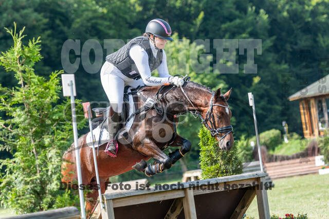 Goldene Schärpe 2021 - Ponys