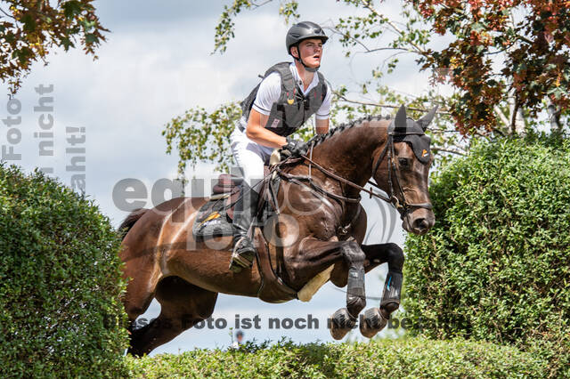 Bonn-Rodderberg Late-Entry-Vielseitigkeit (30.06.2020)