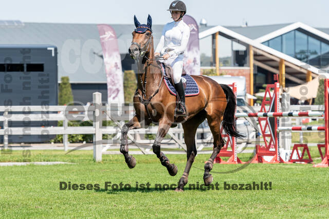 Kronenberg - De Peelbergen (August 2020)