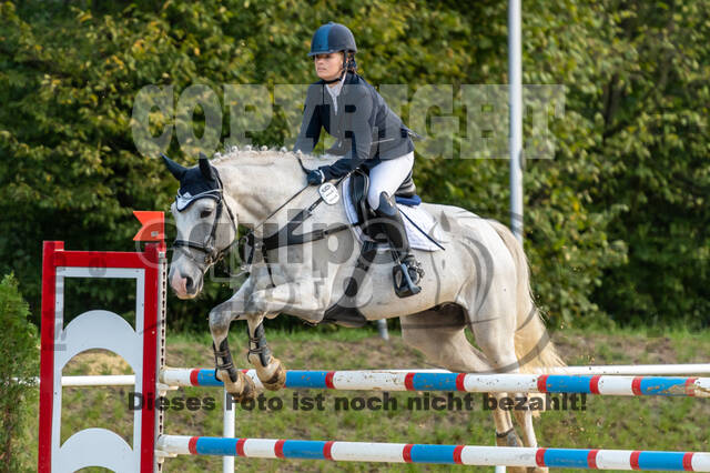 RFV Dinslaken-Hiesfeld (Herbstturnier)