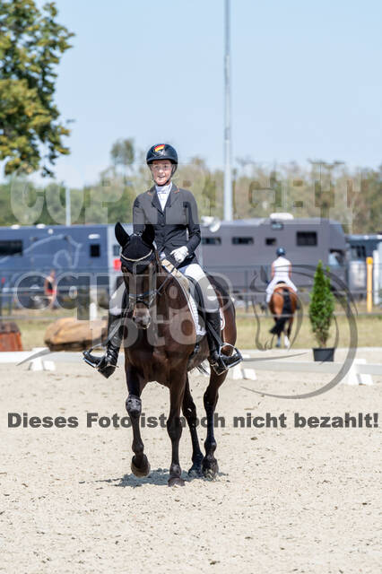 Kronenberg - De Peelbergen (August 2020)