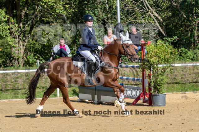 RFV Dinslaken-Hiesfeld (Herbstturnier)