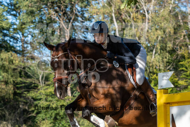 RFV Dinslaken-Hiesfeld (Herbstturnier)