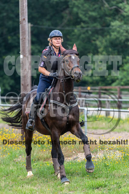 Hunter Geländetraining 10.07.2021 (Sonsbeck)