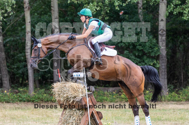 Late-Entry Vielseitigkeit Hamminkeln/Wesel (01.+02.08.2020)