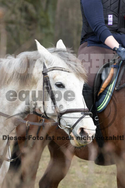 Geländetraining RSV St. Hubertus Wesel Obrighoven (10.+11.03.2018)