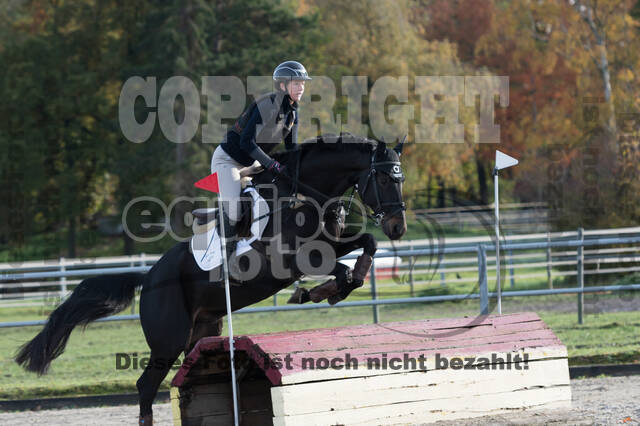 IGV Lehrgang der Sieger der Cups mit Frank Ostholt