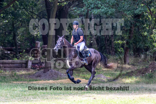 Late-Entry Vielseitigkeit Hamminkeln/Wesel (01.+02.08.2020)