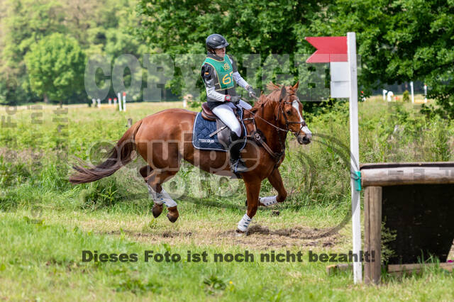 Westerstede Horse Trials (10.-13.06.2021)