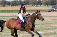 IGV Kleve