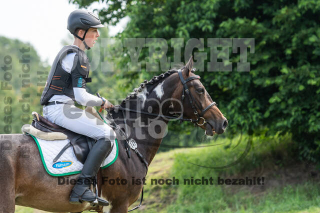 Goldene Schärpe 2021 - Ponys