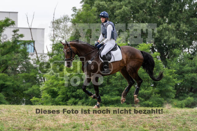 Late-Entry-Vielseitigkeit Langenfeld (11.+13./14.06.2020)