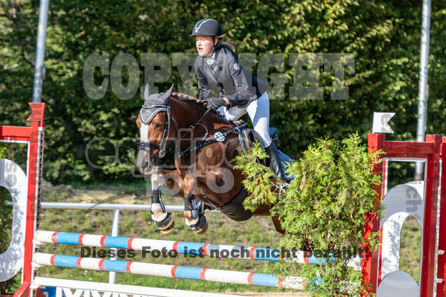 RFV Dinslaken-Hiesfeld (Herbstturnier)