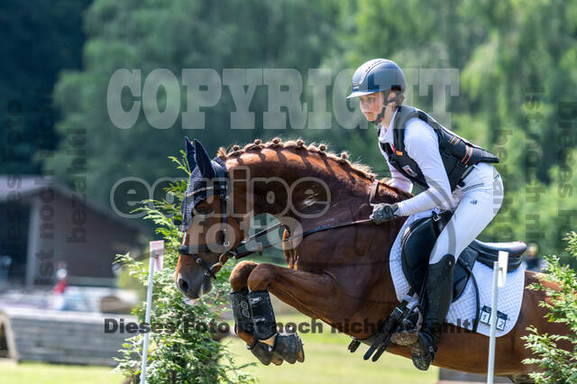 Goldene Schärpe 2021 - Ponys