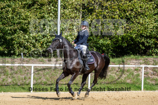 RFV Dinslaken-Hiesfeld (Herbstturnier)